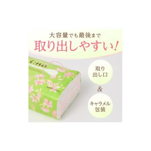 エリエール ｉ：ｎａ（イーナ）ティシュー ソフトパック 200組6パック×10（60パック）
