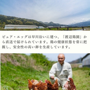 たまごやさんの贅沢たまごプリン（５個入り）フェルエッグ
