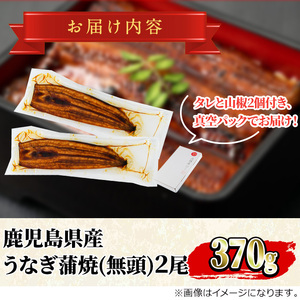 ＜特大＞うなぎ蒲焼き(無頭)(2尾・計約370g・タレ、山椒付)うなぎ 高級 ウナギ 鰻 国産 蒲焼 蒲焼き たれ 鹿児島 ふるさと 人気【アクアおおすみ】【0144360a】