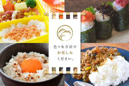 あきたこまち 5kg 米 白米 茨城県産 もっちり お弁当 おにぎり 47-G