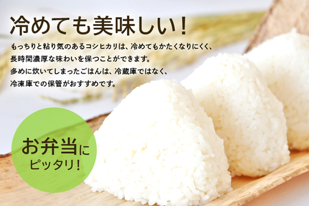 無洗米 コシヒカリ 10kg こしひかり 米 白米 茨城県産 お弁当 おにぎり エコ 47-K