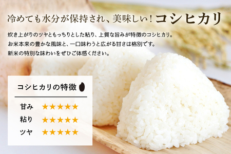 無洗米 食べ比べ コシヒカリ＆あきたこまち 各5kg こしひかり 米 白米 茨城県産 お弁当 おにぎり エコ 47-P