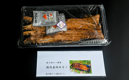 H-199【播州名物】「道の駅みつ特製焼き穴子(3～4本)」