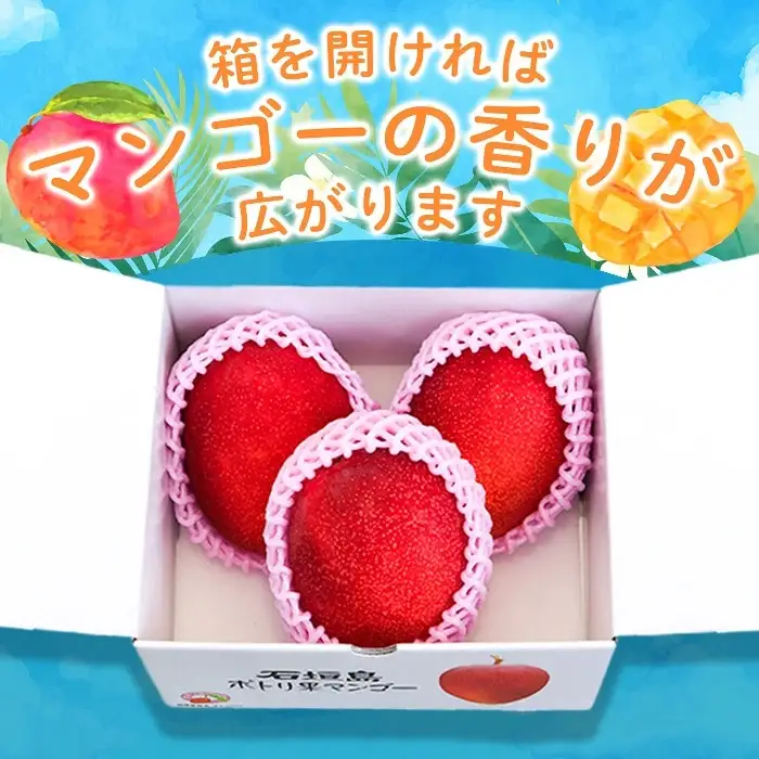 ＜先行予約＞「マンゴー」 ⽯垣島ど真ん中 まるま～さん マンゴー 1kg (2～3玉) ≪2027年6月中旬より順次発送予定≫ (アーウィン種)
