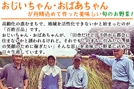 新鮮野菜の詰め合わせ NHH0001