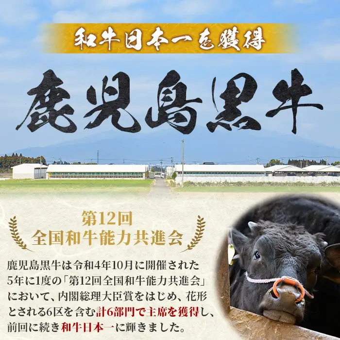 牛肉切り落とし 鹿児島黒牛 3kg【新村畜産】B01030