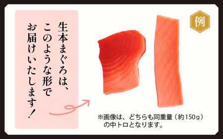 定期便 ≪4カ月連続お届け≫ おすすめ！まぐろの王様！生本まぐろ 食べ比べ 定期便 計4回 【 大とろ  中トロ 赤身 刺身 冷蔵 お取り寄せ グルメ】  [e04-c017]