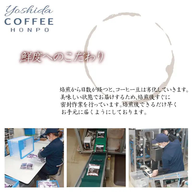 真ごころブレンド 250g×6袋／粉 