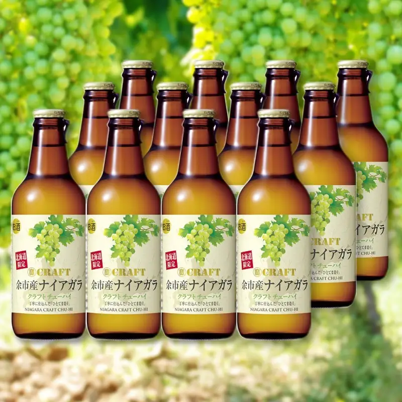 寶CRAFT 余市産 ナイアガラ 12本 北海道限定クラフト 宝酒造 地域限定 お酒 焼酎 酎ハイ チューハイ クラフトチューハイ 果汁 ストレート ぶどう 葡萄 父の日 誕生日 お祝い ギフト プレゼント 北海道 余市町 _Y020-0521