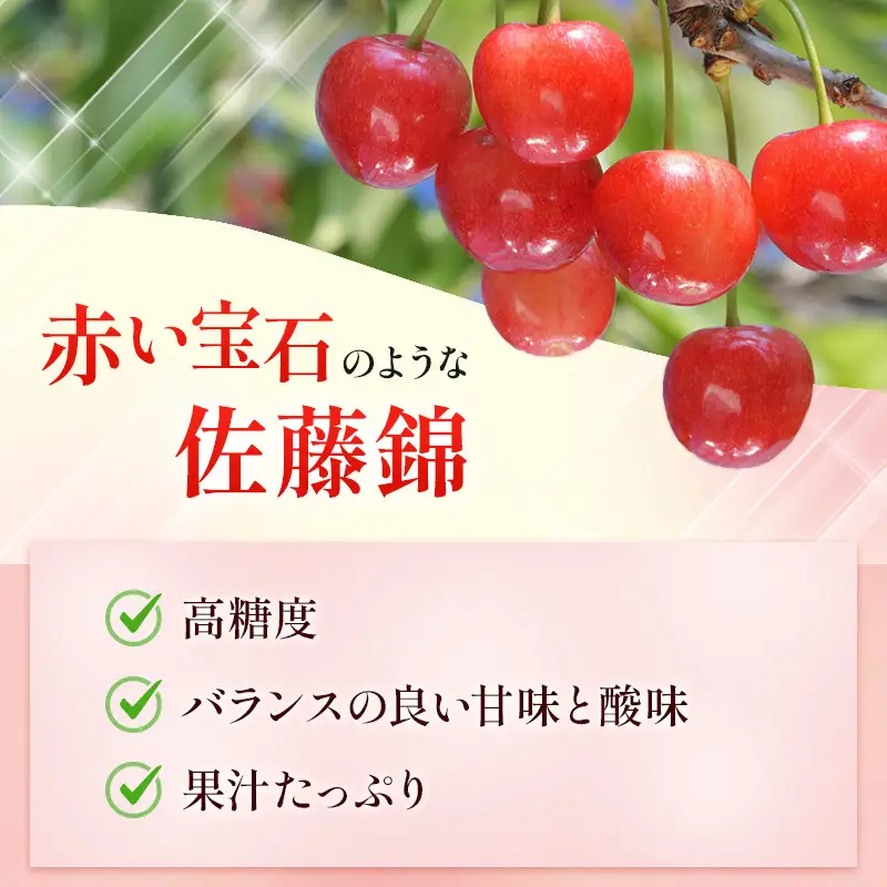 さくらんぼ 600g 佐藤錦 Lサイズ以上 サクランボ