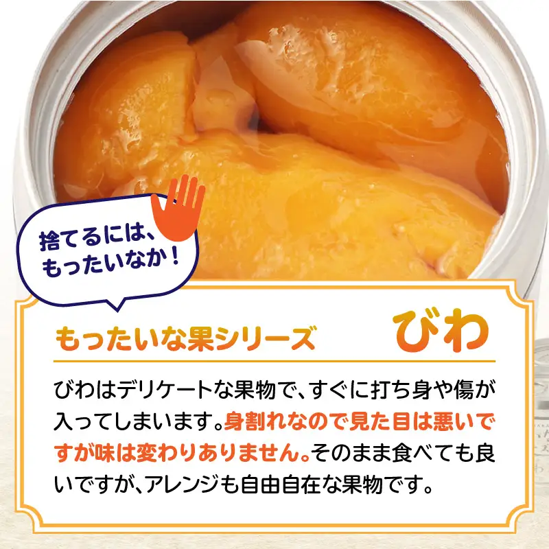 【訳あり】 もったいな果シリーズ びわ 缶詰 M2号缶×12缶 セット 国産 007-023