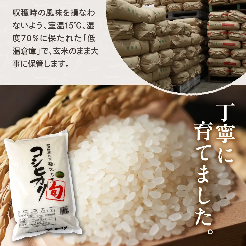【2026年11月中旬より発送】【定期便】令和8年産新潟県妙高産斐太の里コシヒカリ「旬」5kg×6回（計30kg）