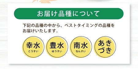 SA2934　和梨 「刈屋梨」　約3kg(8～9玉入)　品種おまかせ(幸水、豊水、南水、あきづき) 