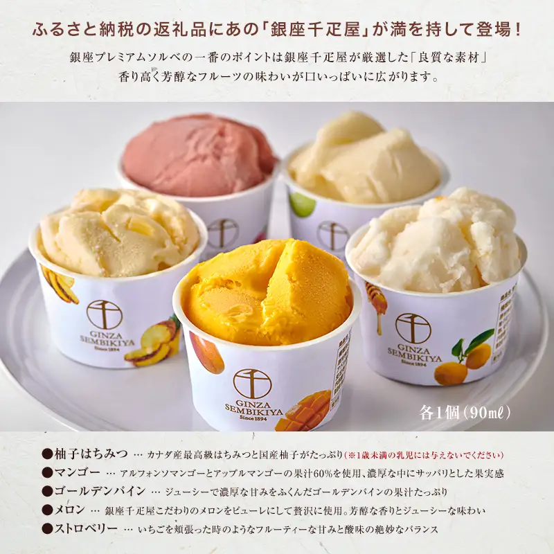 銀座千疋屋 銀座プレミアムソルベ 10個入り F23R-469