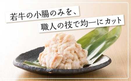 【6ヶ月定期便】博多もつ鍋 おおやま もつ鍋 しょうゆ味 2人前 醤油 もつ 鍋