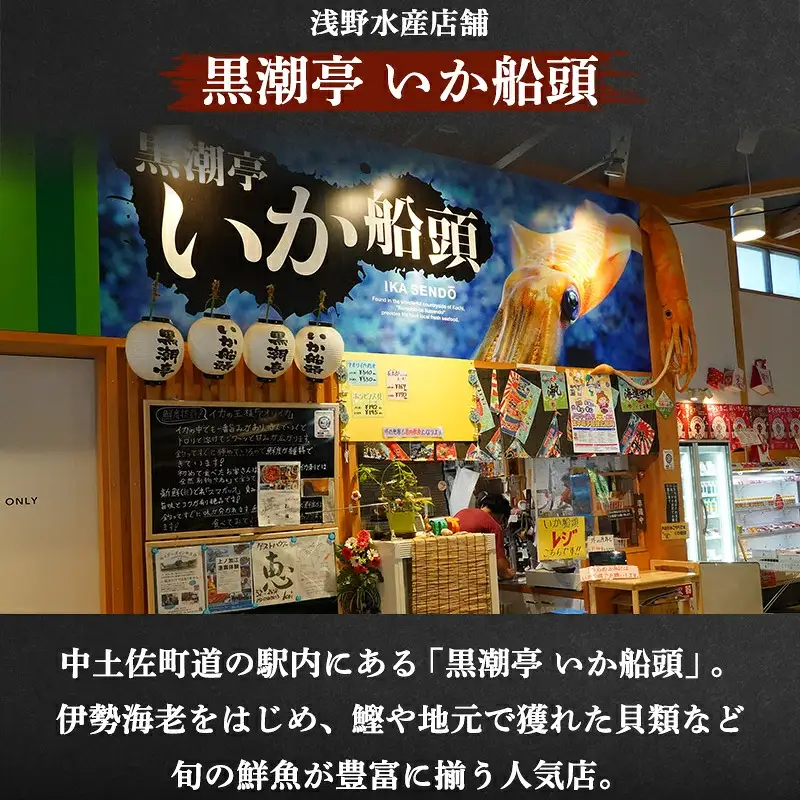 【伊勢海老 】  訳あり伊勢海老冷凍 800g 