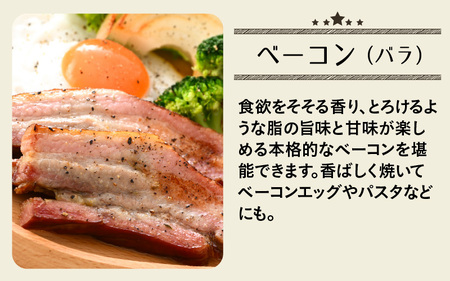 ブランド豚 荒島ポークの味わい極みセット