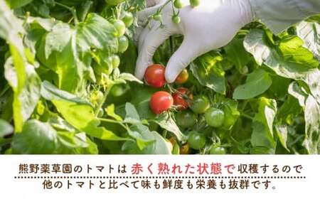 【2027年1月以降配送】熊野薬草園のトマトMIX（1.8kg×2箱）【kmys0004A】