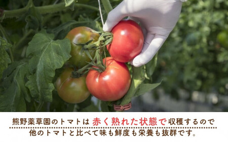 【2027年1月以降配送】熊野薬草園の大玉トマト（1.2kg×2箱）【kmys0006A】