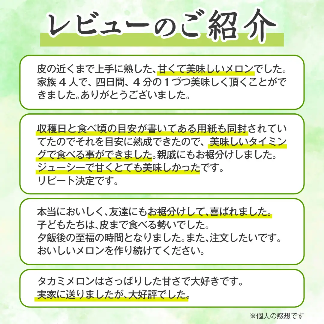 【先行予約】メロン タカミメロン 秀品 4~5玉 約6kg 八千代町産