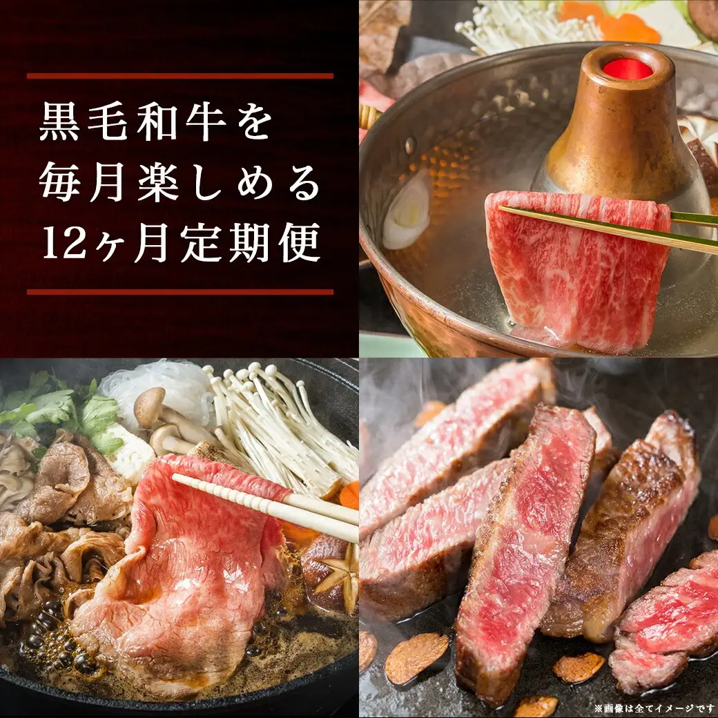 黒毛和牛の本気!食べ尽くし12ヶ月定期便〔TAC12-4201〕_(都城市) 国産 黒毛和牛 和牛 肩ローススライス サーロインステーキ 小間切り落とし 霜降りカルビ モモステーキ 赤身カルビ ロース焼肉 モモスライス ローススライス ヒレステーキ 定期便