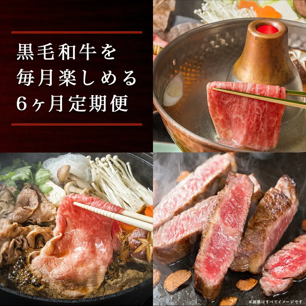黒毛和牛を知り尽くす!食べ尽くし6ヶ月定期便〔TAI6-4201〕_(都城市) 国産 黒毛和牛 和牛 サーロインステーキ モモスライス 小間切り落とし 角切り煮込み用 霜降りカルビ 赤身カルビ ローススライス ヒレステーキ 定期便