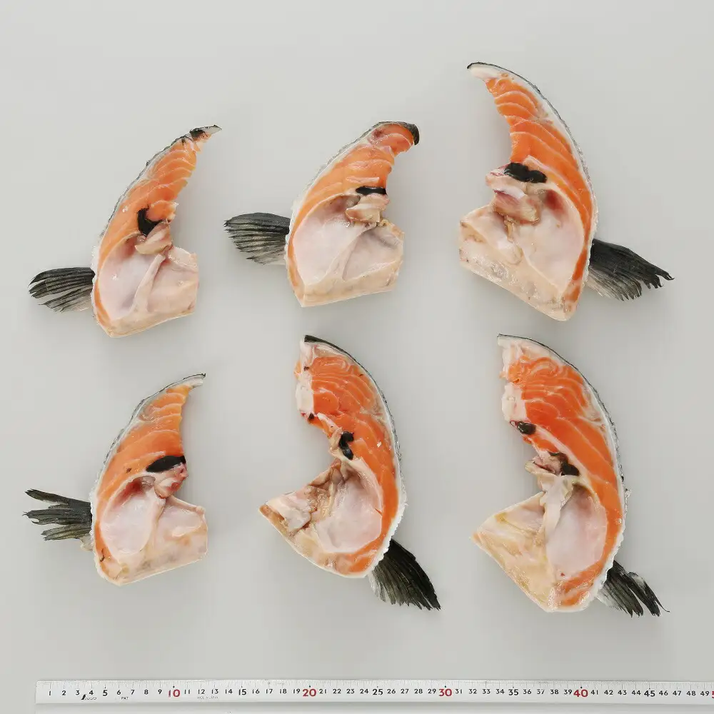 エンペラーサーモン　カマ　1kg　サーモン_T005-0870