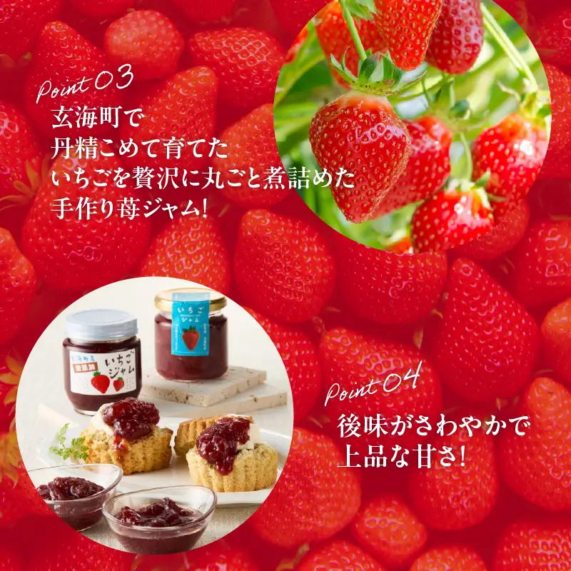 いちごジャム2種セット ／ いちごジャム【A147】