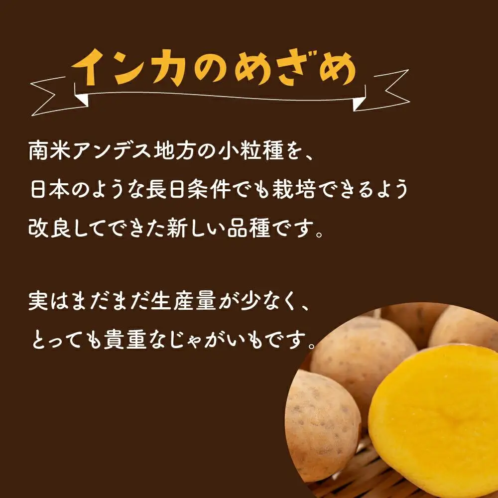 【2026年先行予約】北海道産じゃがいも（インカのめざめ）4kg（10月下旬発送開始）| じゃがいも _00417
