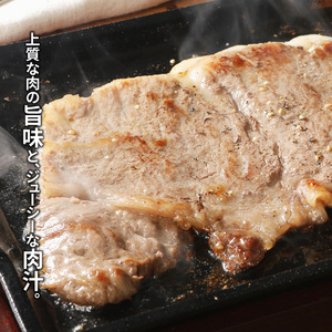 S074-013_天草黒牛 サーロイン ステーキ 2枚入 約500g 黒毛和牛 A4～5等級