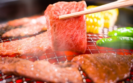 伊賀牛 肉の横綱　伊賀牛まるごと食べ尽くし 伊賀牛 【cook0044】