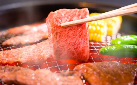 伊賀牛 肉の横綱　伊賀牛１/2まるごと食べ尽くし 伊賀牛 【cook0045】