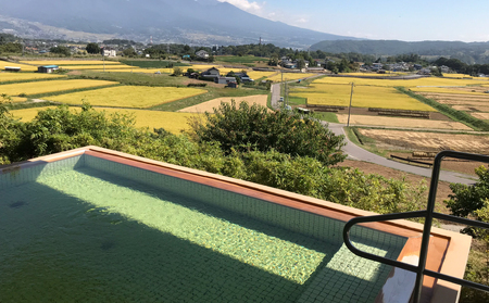 信州八重原温泉　アートヴィレッジ明神館　宿泊補助券5000円分