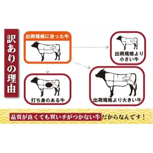 訳あり長崎県産和牛切り落とし(1,000g) 訳あり 牛肉 黒毛和牛 限定品