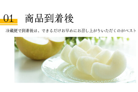 BH004 【令和9年度出荷分】【数量限定】 幸水梨 約2.5kg（5玉～8玉）