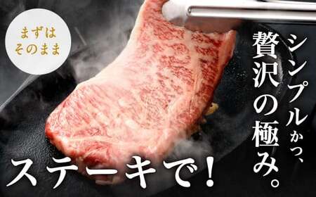 【3ヶ月定期便】 九州産 黒毛和牛 サーロインステーキ 合計約1.5kg (約250g×2枚×3回) 牛肉 国産 ステーキ サーロイン 牛肉 お肉 国産 日本産