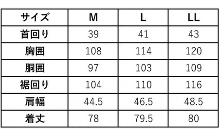 半袖ボタンダウン2枚Lサイズセット HITOYOSHI シャツ