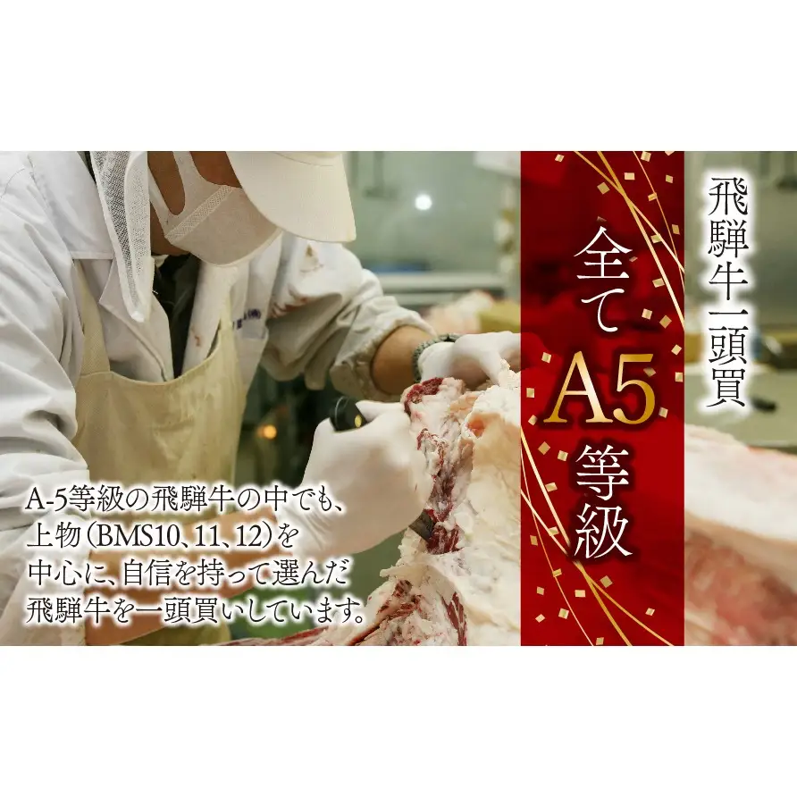 A5 飛騨牛 赤身 バラ 焼肉セット 計600g｜岐阜県産 国産 黒毛和牛 ブランド牛 モモ肉 カタ肉 霜降り 冷凍 贅沢 高級肉 バーベキュー お歳暮 お中元 ギフト プレゼント おすすめ トキノ屋食品