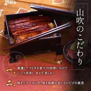 うなぎ 串蒲焼き 5尾 小分け 詰め合わせ 冷蔵 うなぎ
