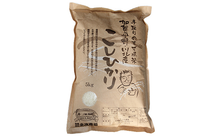 【令和8年度産】手取りのすず風米こしひかり　白米5kg 