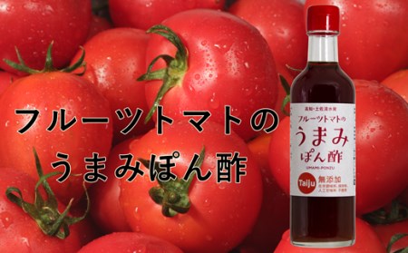 無添加 宗田かつおのうまみぽん酢 ２種セット（各300ml×１本）フルーツトマト味 サラダドレッシング　【R00124】