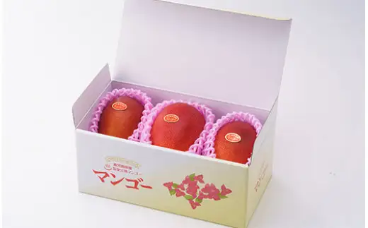 ＜高島屋選定品＞鹿児島県産温泉完熟マンゴー合計約1.2kg(小～中玉3玉)白箱入り【2026年7～8月頃発送】(IB001-001/59D1824)