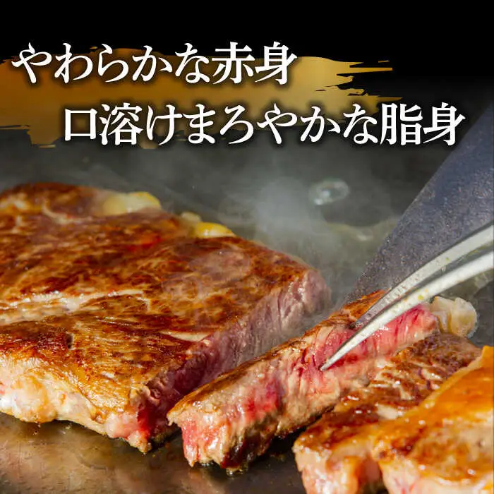 【やわらかな赤身と口どけまろやかな脂身】長崎和牛 サーロインステーキ 400g 2人前 （200g×2枚）/ 南島原市 / ふるさと企画 [SBA031]
