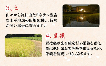 壱岐産 山信米 3kg《壱岐市》【イキテイク合同会社】 穀物 精米 白米 [JFG002] 17000 17000円 のし プレゼント ギフト 九州