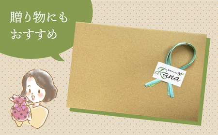 【全12回定期便】マドレーヌ3種セット【創作キッチンRana】HCK012 マドレーヌ 菓子 デザート 定期便