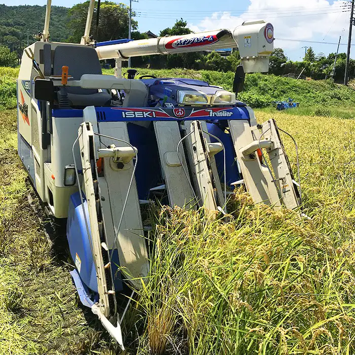 【満田園芸】嶺岡米 コシヒカリ 精米 5kg ちばエコ農産物認証品 [0015-0072]