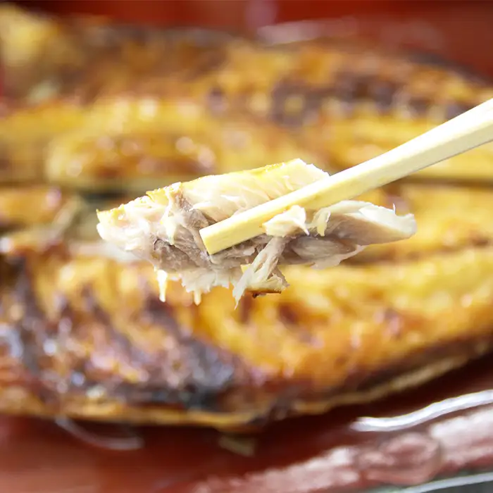 【極味のひもの】脂の乗り抜群『とろさば・とろあじ』ひものセット 各３枚 定期便 ５カ月《隔月》 《選べる発送間隔》《発送開始月指定OK》鯖 サバ 鯵 アジ ひもの ひらき 干物 天日干し 手開き 焼き魚 ご飯のお供 焼き魚セット 人気店 お取り寄せ ひものセット [魚水][0105-0002]
