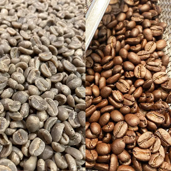 【カモガワ珈琲】焙煎したてのコーヒー豆 ３種（170g×３袋）《粉》　[0018-0025]