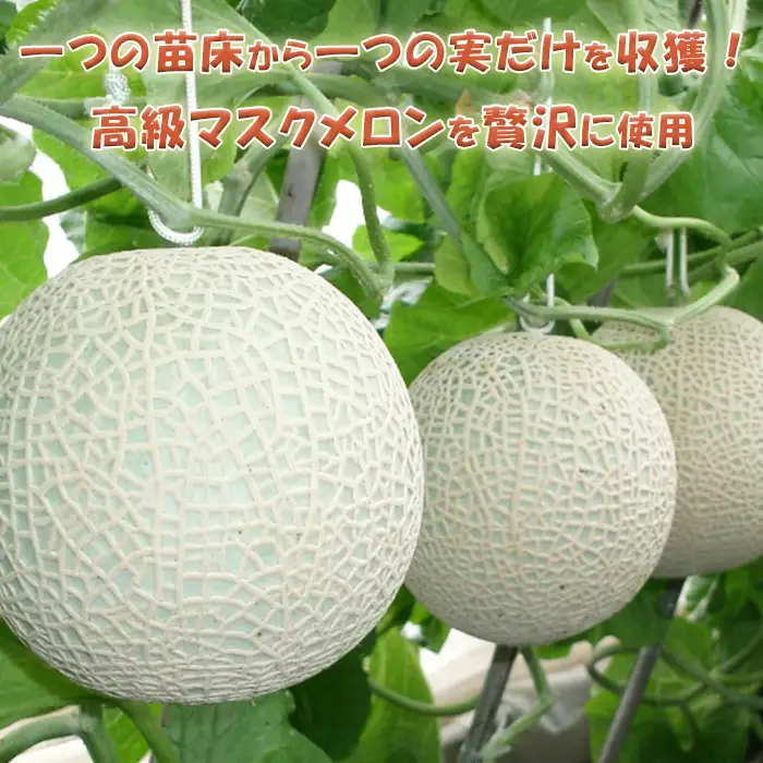 【贅沢メロンをひと口で】千葉アクアメロン フルーツ大福 12個（4個入3箱）／マスクメロン 個包装 冷凍 スイーツ 和菓子　[高橋メロン農園][0010-0243]