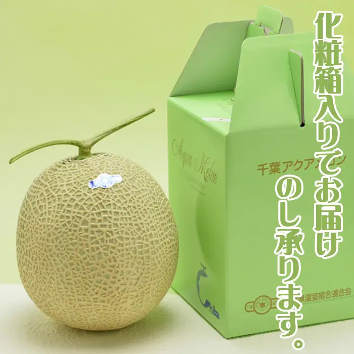 【ご贈答に！】高級マスクメロン『千葉アクアメロン』Ｌ玉以上 × ３個　[0033-0011]